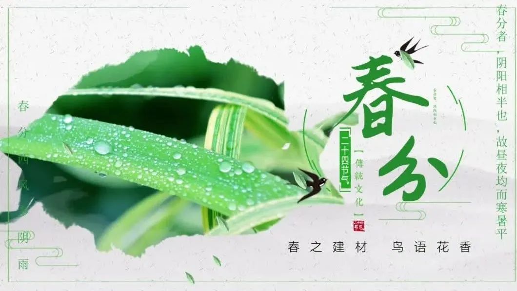 今日春分 | 春之建材，鸟语花香